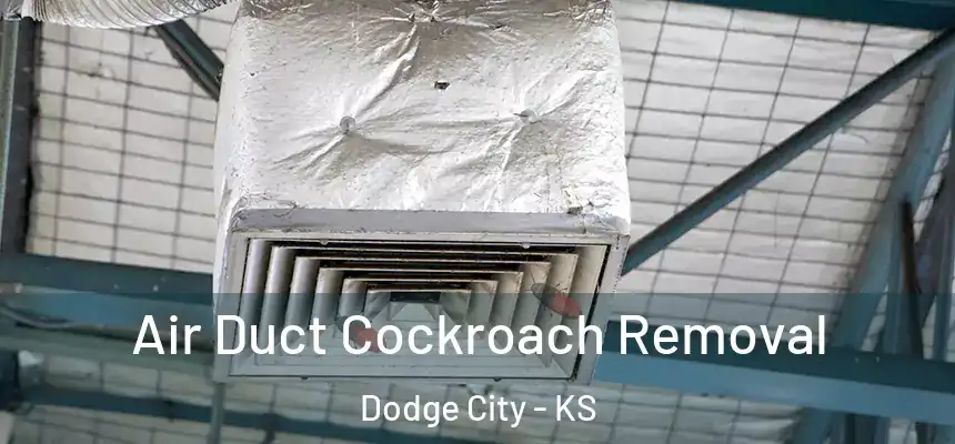  Air Duct Cockroach Removal Dodge City - KS