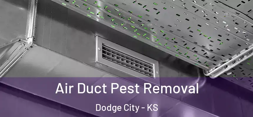 Air Duct Pest Removal Dodge City - KS