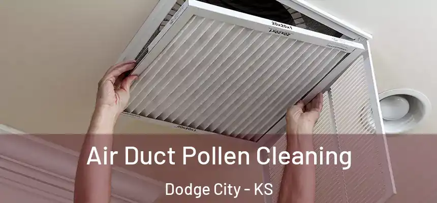 Air Duct Pollen Cleaning Dodge City - KS