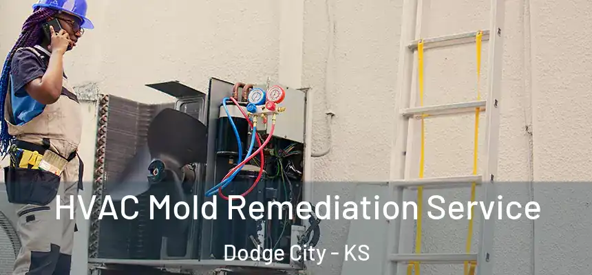 HVAC Mold Remediation Service Dodge City - KS
