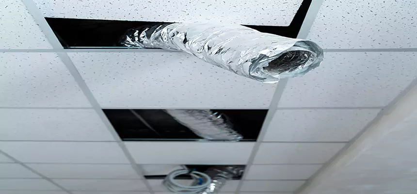 Our Air Duct Pet Hair Removal Services in Dodge City, KS