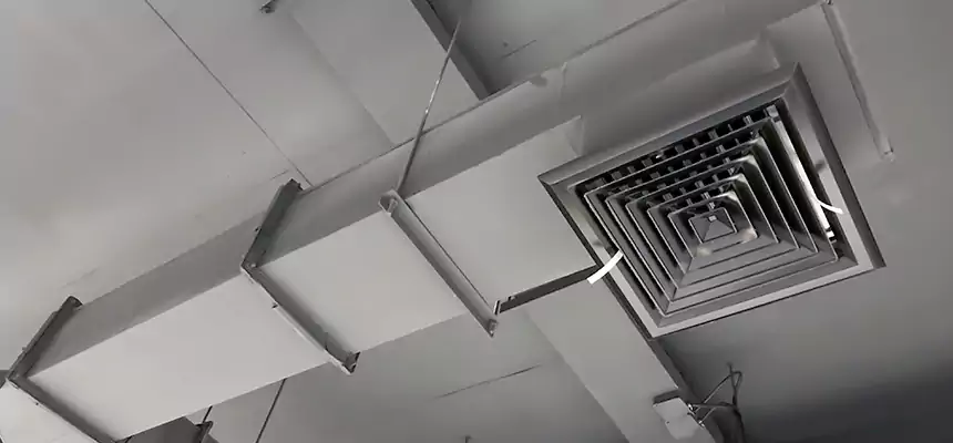 Our Rodent Droppings In Vents Services in Dodge City, KS