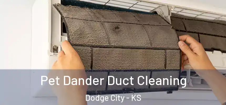 Pet Dander Duct Cleaning Dodge City - KS