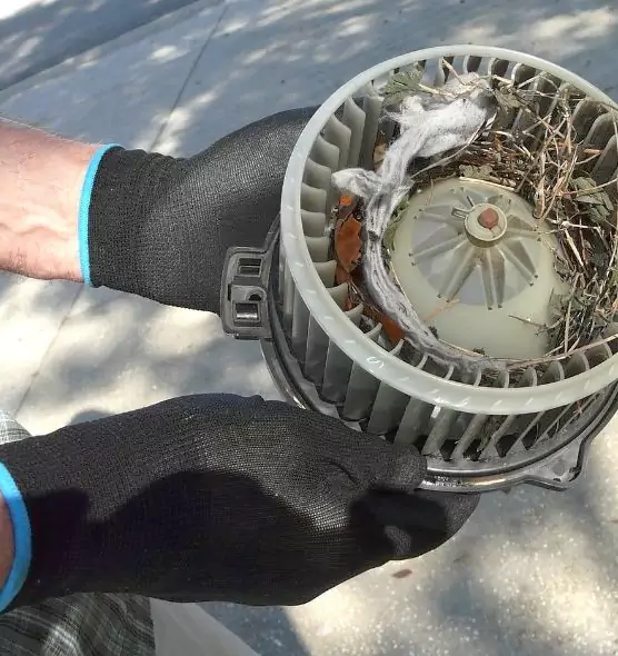 About Air Duct Rat Removal in Dodge City, KS